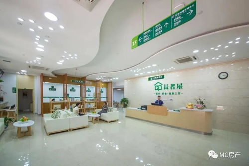 碧桂園十里銀灘維港灣 最新房價、投資潛力與戶型解析